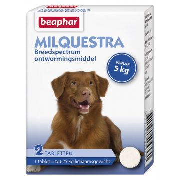 Beaphar Milquestra worm tablets dog 2 tablets from 5 - 25 kg