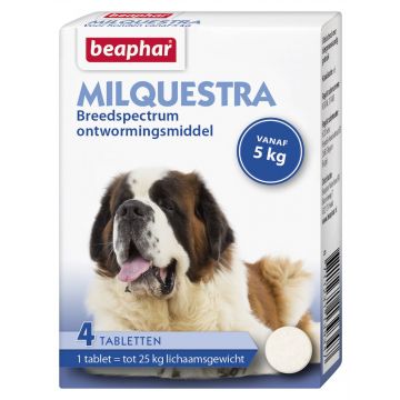 Beaphar Milquestra worm tablets dog 4 tablets from 5 - 25 kg