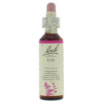 Bach Elm / Veld-iep 20 ml 11