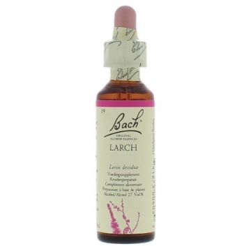 Bach Larch / Lariks 20 ml 19